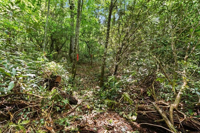 LT29/36 Long Brg N, Cullowhee, NC 28717
