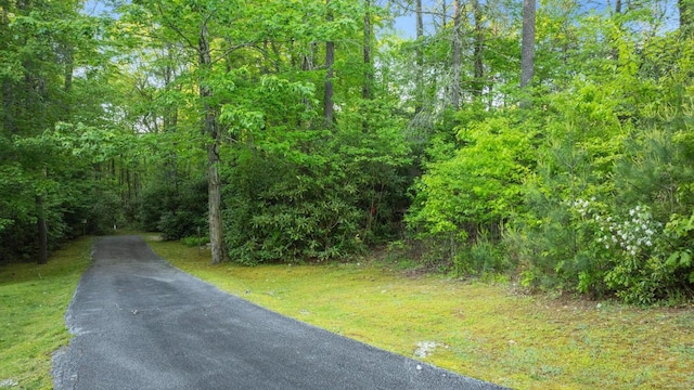 LT29/36 Long Brg N, Cullowhee, NC 28717