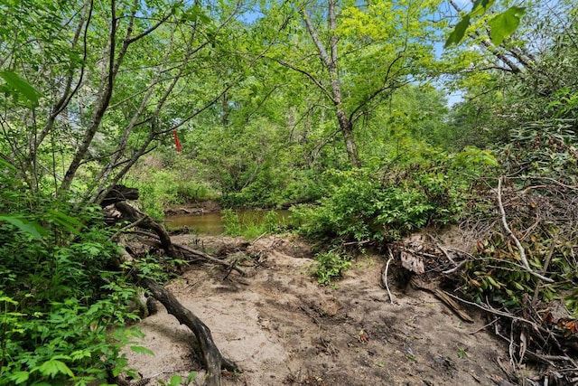 LT29/36 Long Brg N, Cullowhee, NC 28717