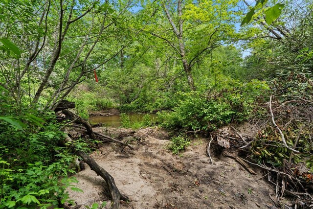 LT29/36 Long Brg N, Cullowhee, NC 28717