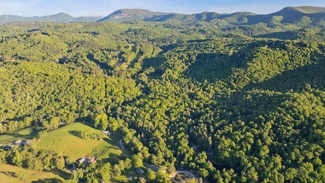 LT29/36 Long Brg N, Cullowhee, NC 28717