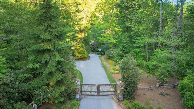 LT29/36 Long Brg N, Cullowhee, NC 28717