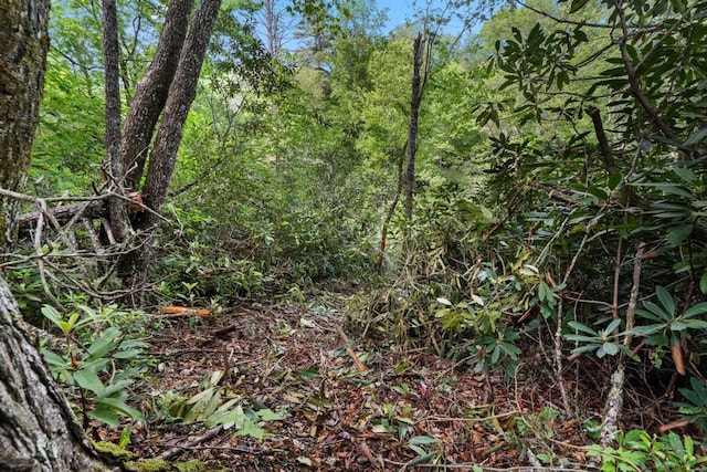 LT29/36 Long Brg N, Cullowhee, NC 28717