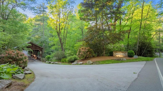 LT29/36 Long Brg N, Cullowhee, NC 28717