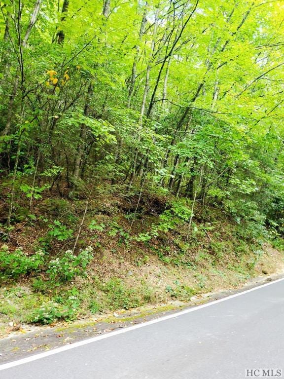 LOT83 W Christy Trl, Sapphire NC, 28774 land for sale