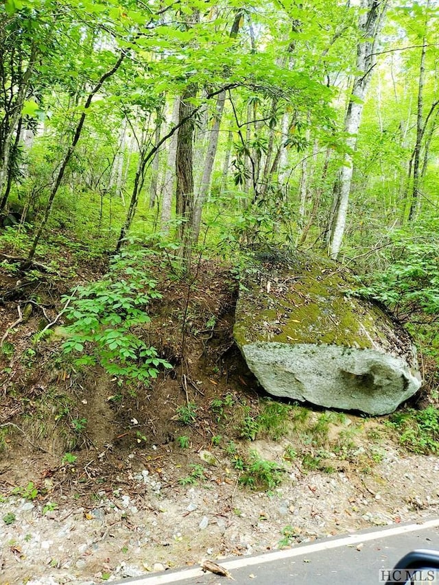 Listing photo 3 for LOT83 W Christy Trl, Sapphire NC 28774