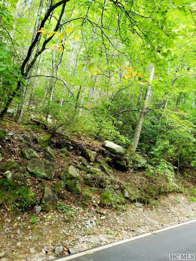 Listing photo 2 for LOT83 W Christy Trl, Sapphire NC 28774