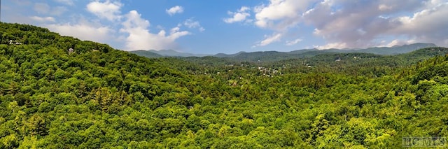 LOT8 Ravenel Ridge Rd, Highlands NC, 28741 land for sale