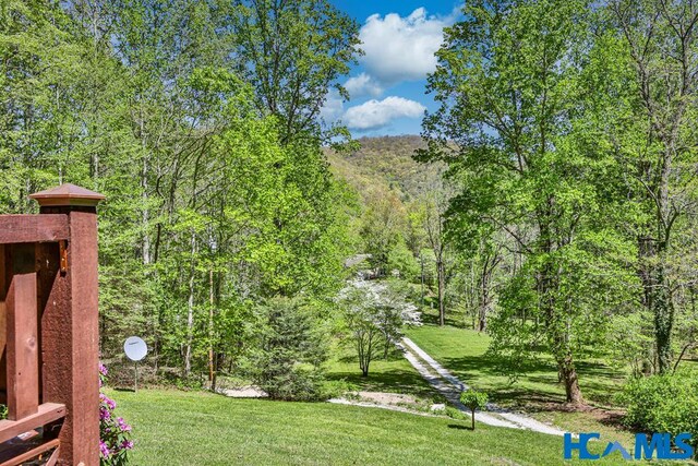 187 Papaw Ln, Glenville, NC 28736 - photo 50