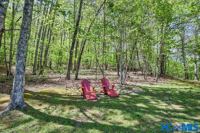 187 Papaw Ln, Glenville, NC 28736 - photo 55