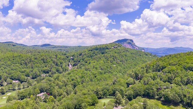 72 Winterberry Ct Unit 7, Highlands, NC 28741 - view of mountain backdrop with a heavily wooded area