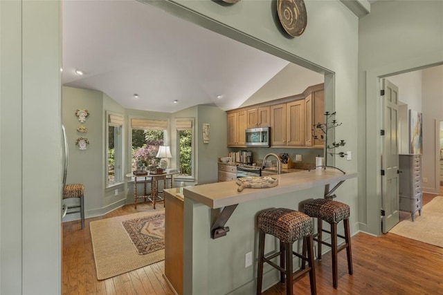 72 Winterberry Ct Unit 7, Highlands, NC 28741 - kitchen with appliances with stainless steel finishes, light wood-style flooring, a kitchen bar, vaulted ceiling, and a peninsula