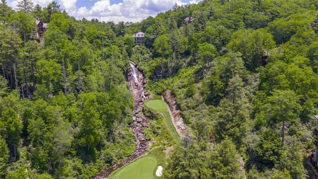72 Winterberry Ct Unit 7, Highlands, NC 28741 - aerial view of property's location featuring a local golf course and a forest