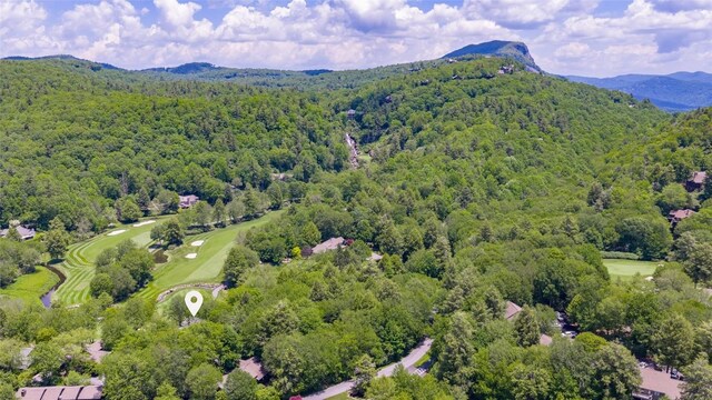 72 Winterberry Ct Unit 7, Highlands, NC 28741 - aerial view of a forest and a mountain backdrop