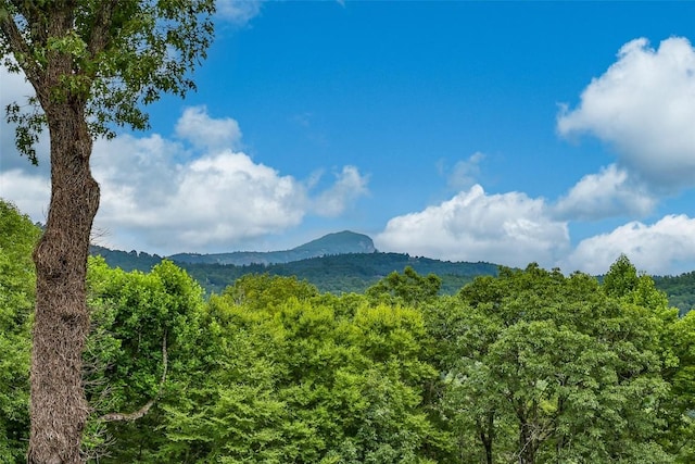 property view of mountains with a view of trees