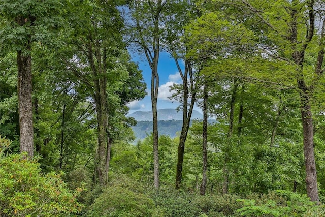 view of water feature featuring a forest view and a mountain view
