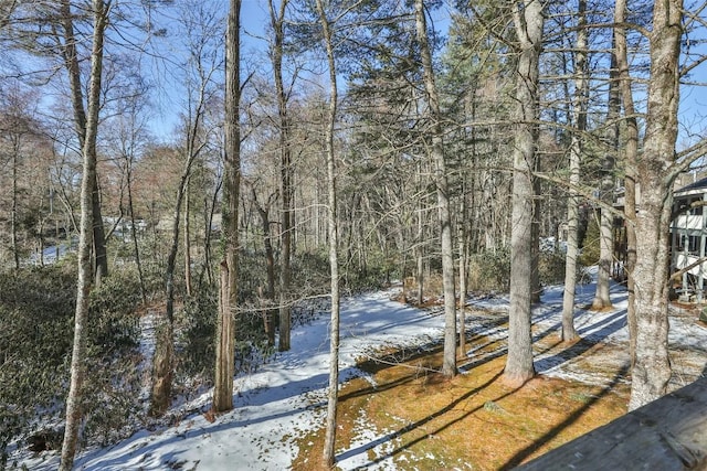 view of yard covered in snow