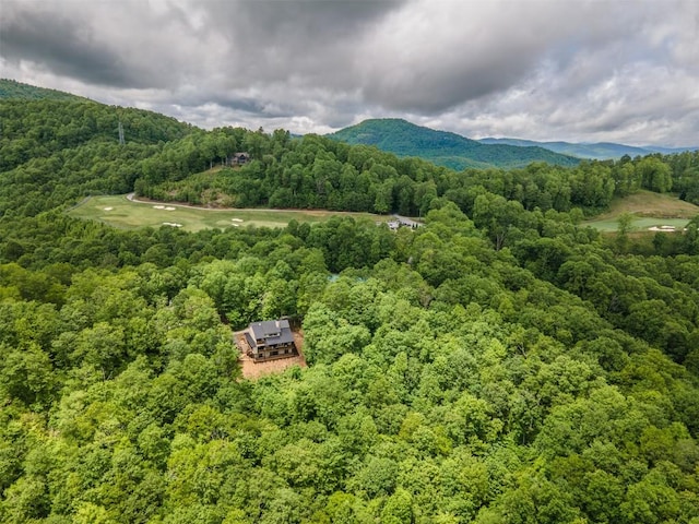 55 Steeplebush Ct, Tuckasegee, NC 28783 - view of mountain backdrop featuring a heavily wooded area