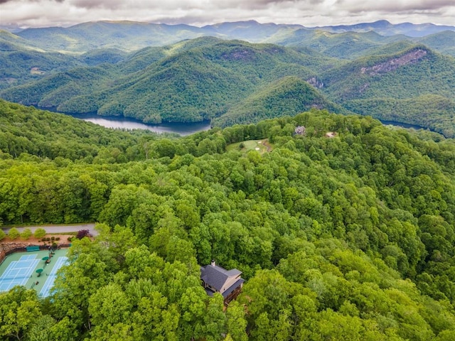 55 Steeplebush Ct, Tuckasegee, NC 28783 - aerial view of a heavily wooded area and a water and mountain view