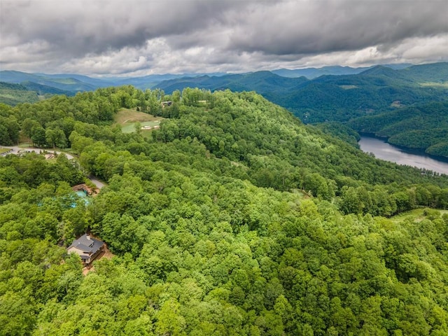 55 Steeplebush Ct, Tuckasegee, NC 28783 - drone / aerial view of a heavily wooded area and a water and mountain view