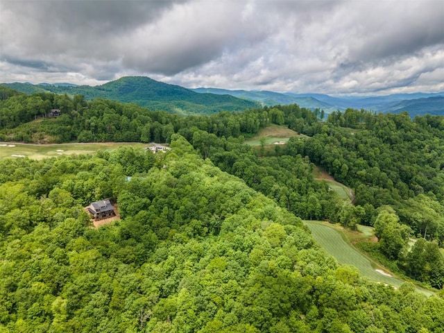 55 Steeplebush Ct, Tuckasegee, NC 28783 - bird's eye view of a mountain backdrop