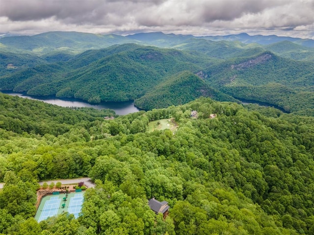55 Steeplebush Ct, Tuckasegee, NC 28783 - mountain view featuring a forest and a large body of water