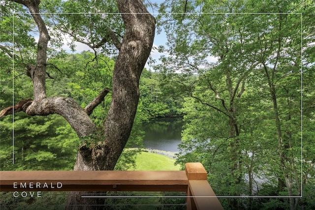 230 Jersey Trl Unit 12, Sapphire, NC 28774 - water view with a heavily wooded area