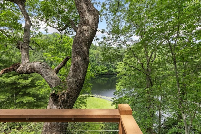 230 Jersey Trl Unit 12, Sapphire, NC 28774 - water view