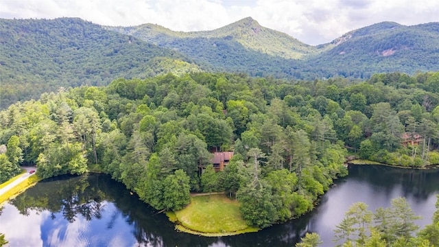 230 Jersey Trl Unit 12, Sapphire, NC 28774 - aerial view of a forest and a water and mountain view