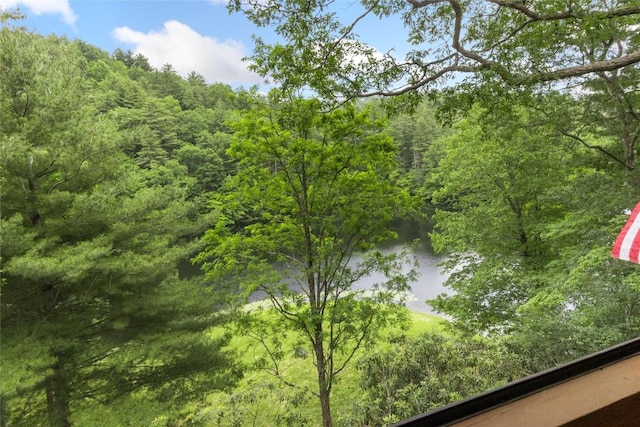 230 Jersey Trl Unit 12, Sapphire, NC 28774 - water view featuring a heavily wooded area