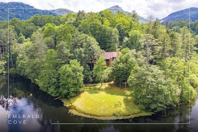 230 Jersey Trl Unit 12, Sapphire, NC 28774 - aerial view of a heavily wooded area and a water and mountain view