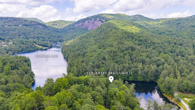 230 Jersey Trl Unit 12, Sapphire, NC 28774 - bird's eye view of a water and mountain view