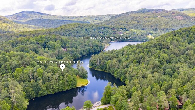 230 Jersey Trl Unit 12, Sapphire, NC 28774 - drone / aerial view of a water and mountain view and a forest