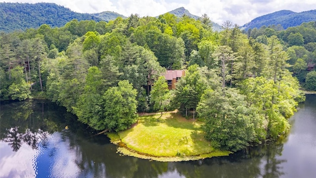 230 Jersey Trl Unit 12, Sapphire, NC 28774 - bird's eye view of a water and mountain view and a forest