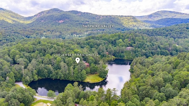 230 Jersey Trl Unit 12, Sapphire, NC 28774 - aerial view of property and surrounding area with a heavily wooded area and a water and mountain view