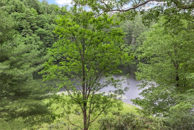 230 Jersey Trl Unit 12, Sapphire, NC 28774 - water view featuring a forest