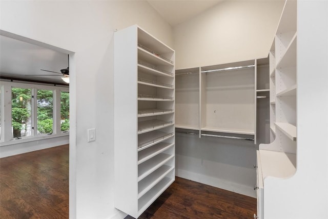 314 Beckonridge Trl, Sapphire, NC 28774 - spacious closet with dark wood finished floors and a ceiling fan