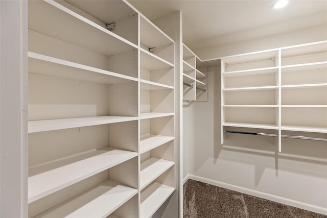 314 Beckonridge Trl, Sapphire, NC 28774 - walk in closet featuring carpet floors
