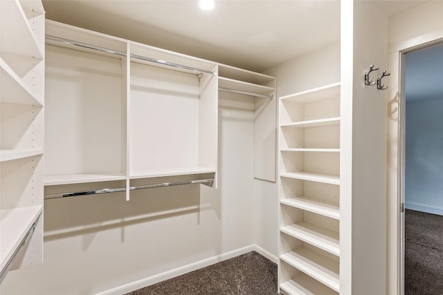 314 Beckonridge Trl, Sapphire, NC 28774 - spacious closet featuring dark colored carpet