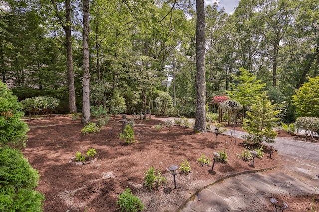 314 Beckonridge Trl, Sapphire, NC 28774 - view of yard