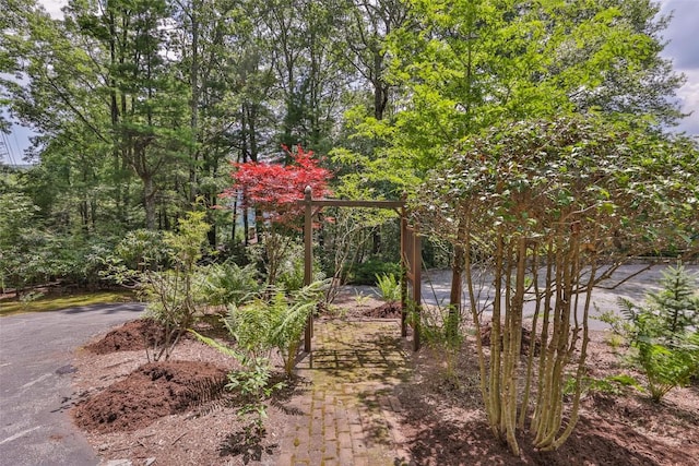 314 Beckonridge Trl, Sapphire, NC 28774 - view of yard