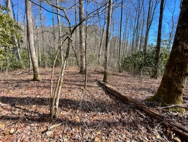 Listing photo 2 for LOT30 Cliff Rdg, Cashiers NC 28717