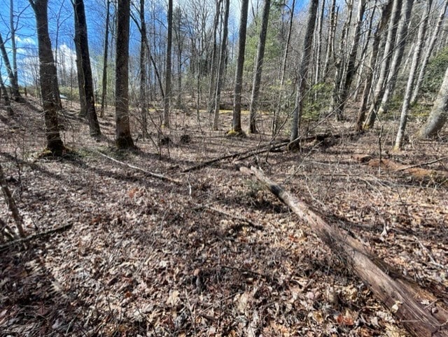 Listing photo 3 for LOT30 Cliff Rdg, Cashiers NC 28717