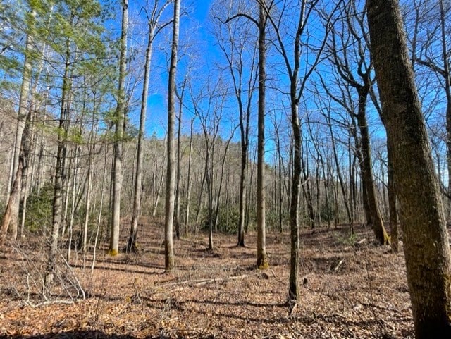 LOT30 Cliff Rdg, Cashiers NC, 28717 land for sale