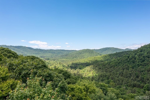 LOT70 Firesong Ln, Glenville NC, 27836 land for sale