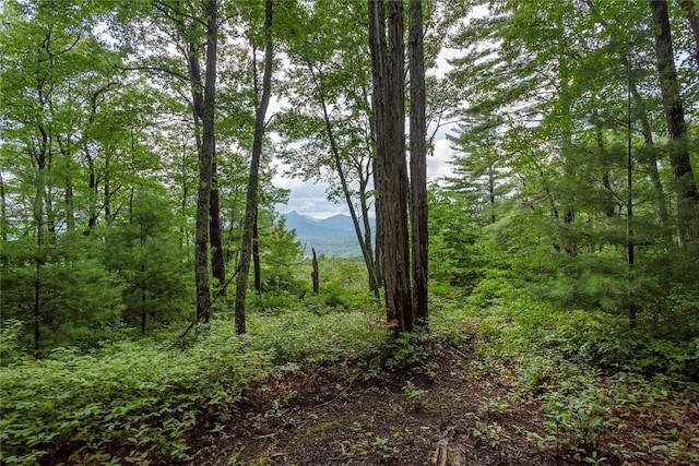 LOT15 W Whitetail Dr, Sapphire, NC 28774 - photo 4
