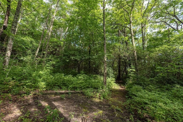 LOT15 W Whitetail Dr, Sapphire, NC 28774 - photo 12