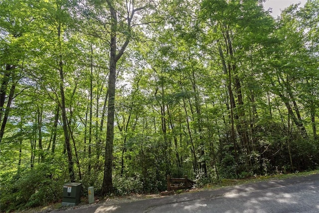 LOT15 W Whitetail Dr, Sapphire, NC 28774 - photo 3