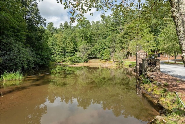 LOT15 W Whitetail Dr, Sapphire, NC 28774 - photo 17