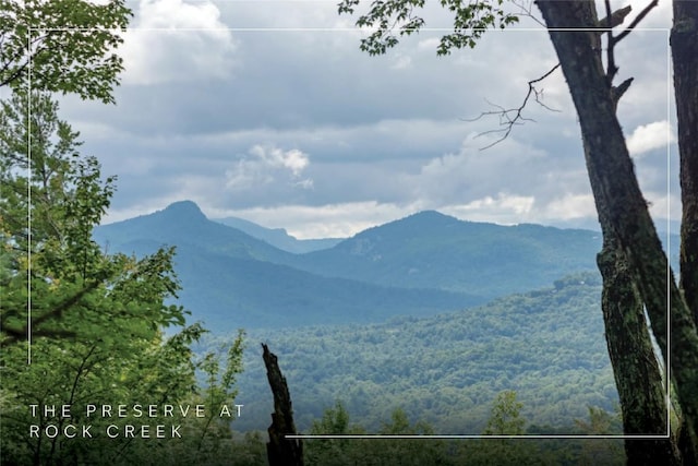 LOT15 W Whitetail Dr, Sapphire, NC 28774 - photo 1